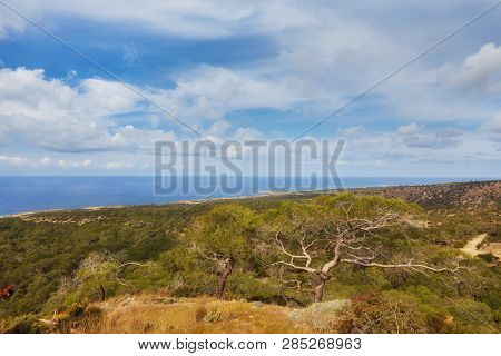 A Rocky Shore On Akamas Peninsula In Cyprus