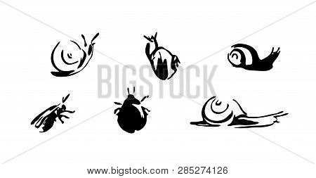 Snails And Beetles Set. Vector Brush Ink Painting Animal Illustration. Black Isolated Vector On Whit