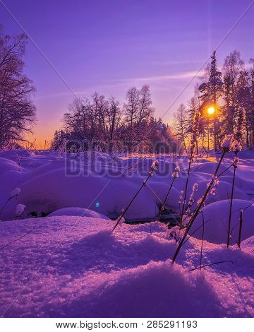 Nature Naturephotography
Photography View Capture Landscape Winter Winterwonderland Beauty