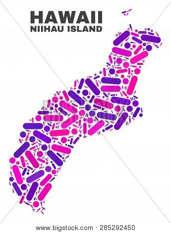 Mosaic Niihau Island Map Isolated On A White Background. Vector Geographic Abstraction In Pink And V