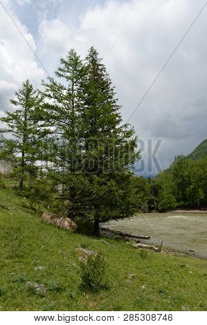 Mountain Landscape By The River Chuya, Altai Republic, Siberia, Russia