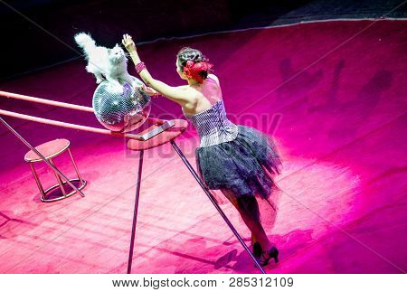 Cat Tamer Performs At The Circus.cat Tamer .