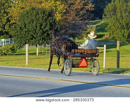 An Amish Man On A Horse And Buggy