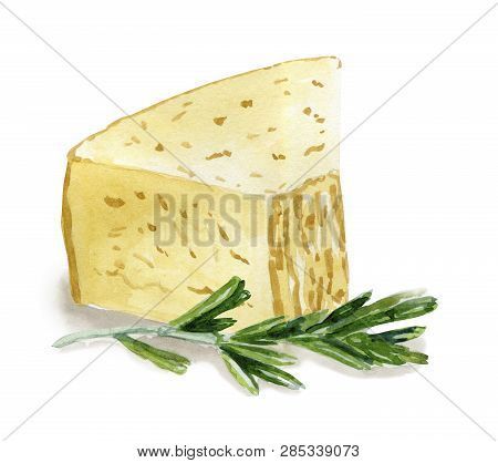 Hand Drawn Seamless Pattern With Cheese  On White Background. Vegetarian Healthy Food. Watercolor Il
