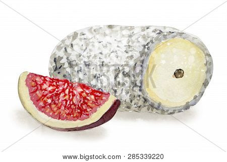 Hand Drawn Seamless Pattern With Cheese  On White Background. Vegetarian Healthy Food. Watercolor Il