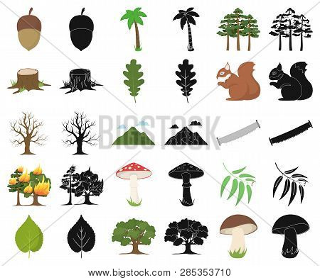 Forest And Nature Cartoon, Black Icons In Set Collection For Design. Forest Life Vector Symbol Stock
