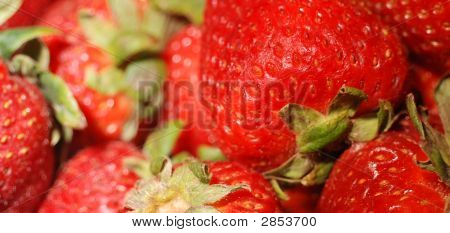 Primer plano de fresas