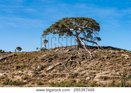 Landscape View Of The Simien Mountains National Park In Northern Ethiopia On The Way To Axum, Africa
