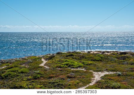 Green Landscape And Blue Ocean At Dynamite Bay In Green Head In Western Australia