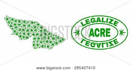 Vector Cannabis Acre State Map Mosaic And Grunge Textured Legalize Stamp Seal. Concept With Green We