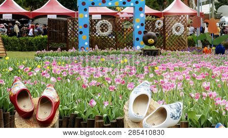 2019 Shilin Official Residence Tulip Exhibition, Taipei, Taiwan