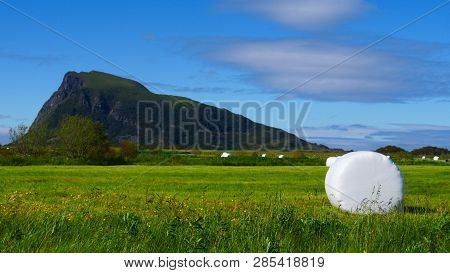 Agricultural Landscape With Straw Packages On Field. Cereal Bale Of Hay Wrapped In Plastic White Foi