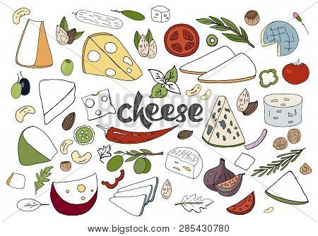 Hand Drawn Vector Set With Different Types Of Cheeses, Spices And Nuts I