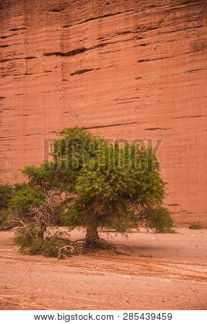 This Are The Walls Of Talampaya National Park, La Rioja, Argentina.