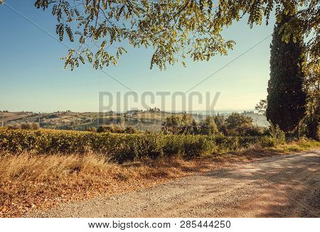 Rural Road Past Grapeyards Of Italy. Countryside With Vineyard And Tuscany Ripe Wine Grapes.