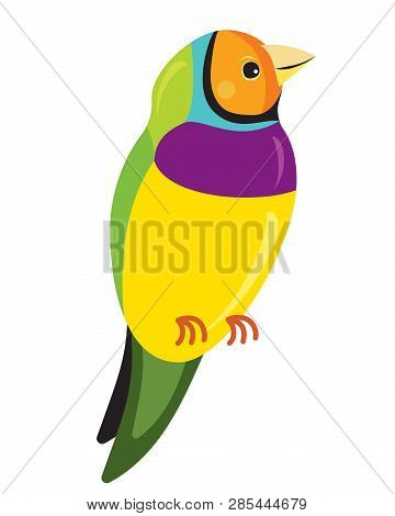 Amadine Tropical Bird - Erythrura Gouldiae, Yellow-headed, Isolated On White