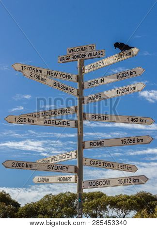 Crow Sitting On A Milestone Sign In The Nullabor Dessert, Australia