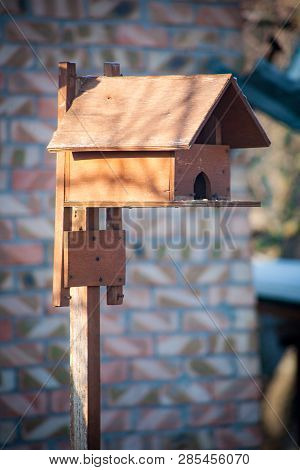 Birdhouse Wooden Copyspace Birds Home Tree Birdbox . A House For Feeding Birds And For Arranging Bir