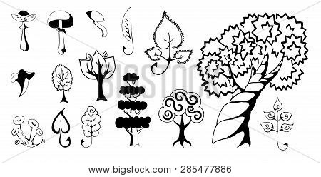 Vector Hand Drawn Sketch Of Owl Bird  Illustration On White Background