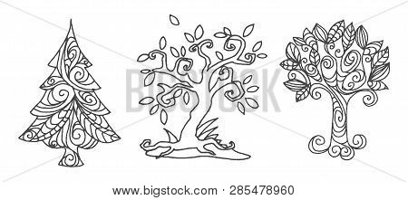 Vector Hand Drawn Sketch Of Owl Bird  Illustration On White Background