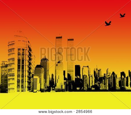 Aves e o Skyline da cidade