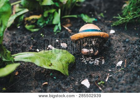 Dirty Doll In Soil Near Plants And Trash. Old Thrown Soiled Toy Buried In Ground. Sad Pessimistic St