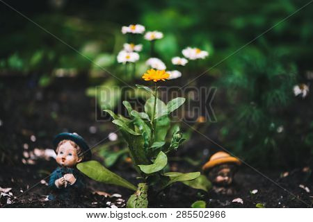 Dirty Dolls In Soil Near Yellow Flower And Trash. Old Thrown Soiled Toys Buried In Ground. Sad Pessi