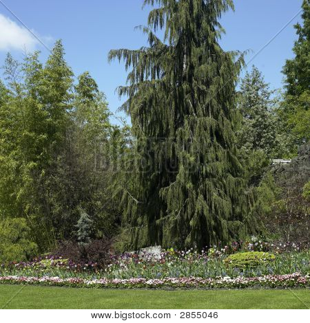 Smuk Park