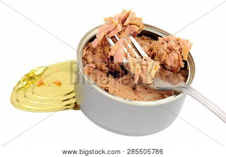 Tinned Skipjack Tuna Steak Isolated On A White Background