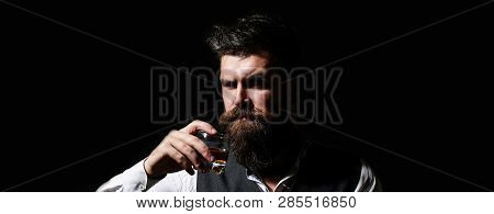 Portrait Of A Handsome Bearded In Elegant Tuxedo, Drink Cognac. Attractive Man With A Whiskey. Beard