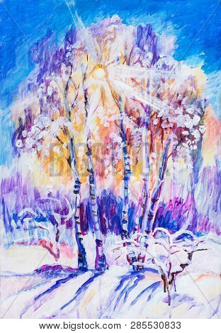Sunset In Winterday, Sun Through Branches Of Birches