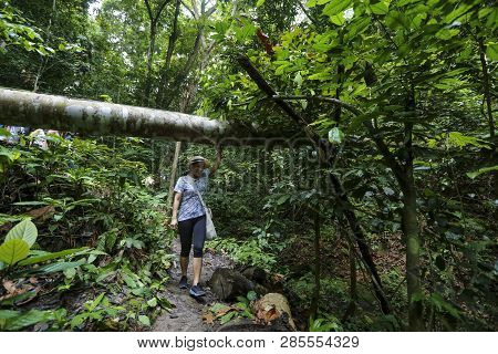 Royal Belum State Park