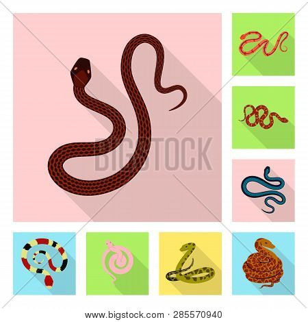 Vector Illustration Of Skin And Reptile Sign. Set Of Skin And Danger Vector Icon For Stock.