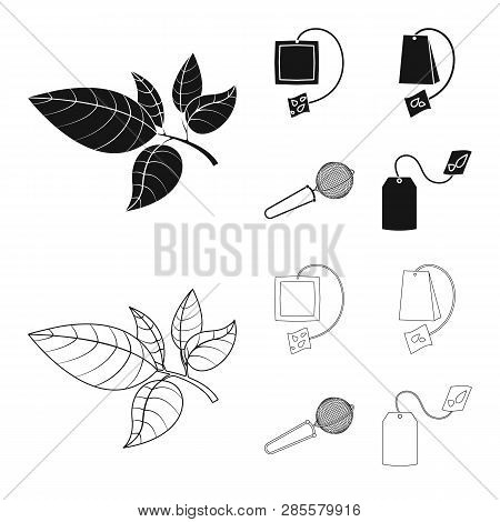 Vector Design Of Healthy And Floral  Logo. Set Of Healthy And Gradient Stock Vector Illustration.