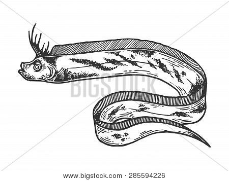 Giant Oarfish Fish Animal Sketch Engraving Vector Illustration. Scratch Board Style Imitation. Black