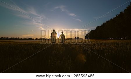 Silhouettes Couple In Love Holding Hands Going Through The Yellow Wheat Field In Sundown Sun Rays. M