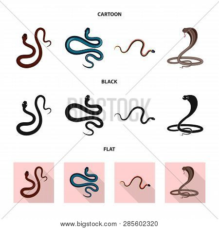 Vector Design Of Mammal And Danger Logo. Set Of Mammal And Medicine Stock Symbol For Web.