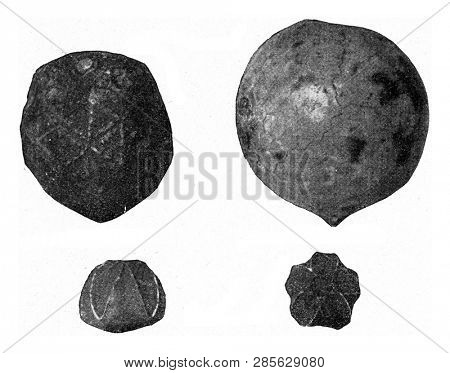 Cystoids and Blastoids of Silurian and Carboniferous Limestone, vintage engraved illustration. From the Universe and Humanity, 1910.