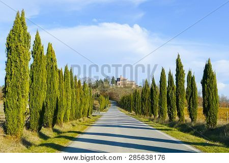Road Flanked By Cypress Trees To The San Galgano Abbey Tuscany In A Sunny Day