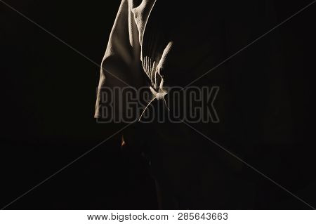Young Girl Dressed In Hakama Practicing Aikido