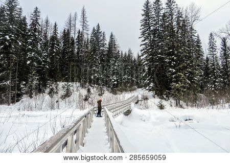 A Young Woman Snowshoeing Through The Forests Of Fernie Mountain Provincial Park, British Columbia, 