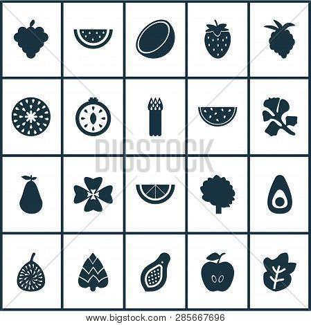 Fruit Icons Set With Avocado, Tomato Slice, Cocoanut And Other Pawpaw Elements. Isolated  Illustrati