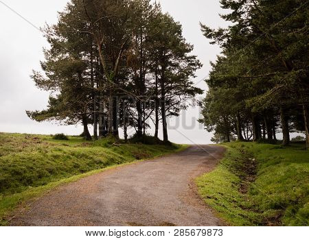 Old Forest Road On A Cloudy Day. Ponga, Asturias, Spain, Europe.