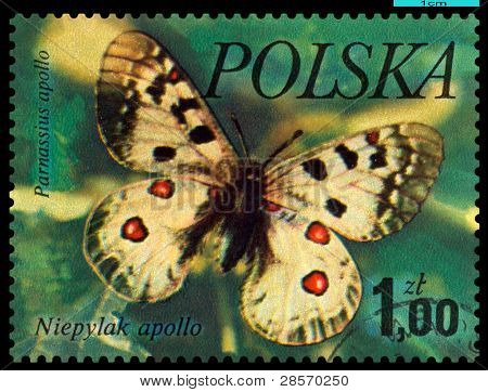 Francobollo vintage. Farfalla Niepylak Apollo.