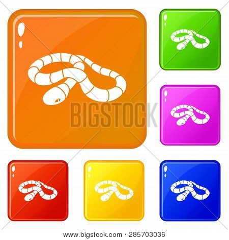 Red Milk Snake Icons Set Collection Vector 6 Color Isolated On White Background