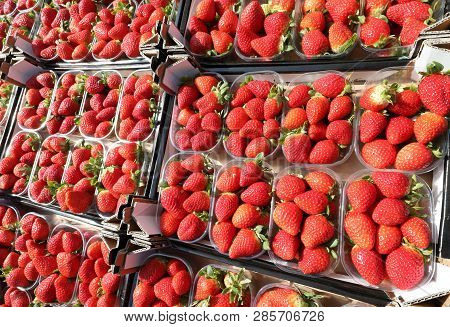 Trays Fof Red Ripe Strawberries For Sale At Fruit Shop
