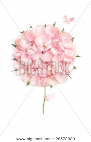 Desenho de uma árvore e a borboleta voando de pétalas de rosa cor de rosa