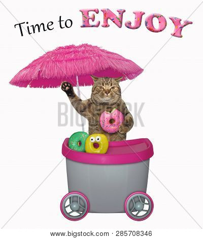 The Funny Cat Is Selling Donuts At The Mini Movable Pink Cart. Time To Enjoy. Isolated.
