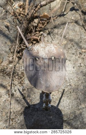 An Old Agricoltural Tool In A Composition