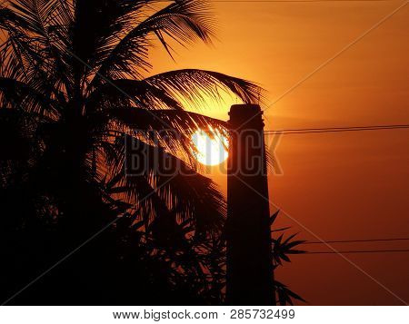 In A Village Time Of Sun Setting.whole Sky Turned In To Redish.there Is A Coconut Tree And A Chimny 